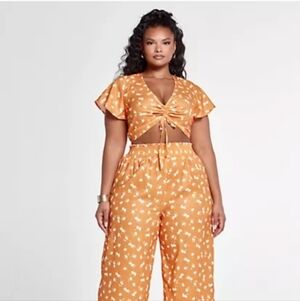 🌟 2 PIECE! Fashion To Figure 2 Piece Set 2x